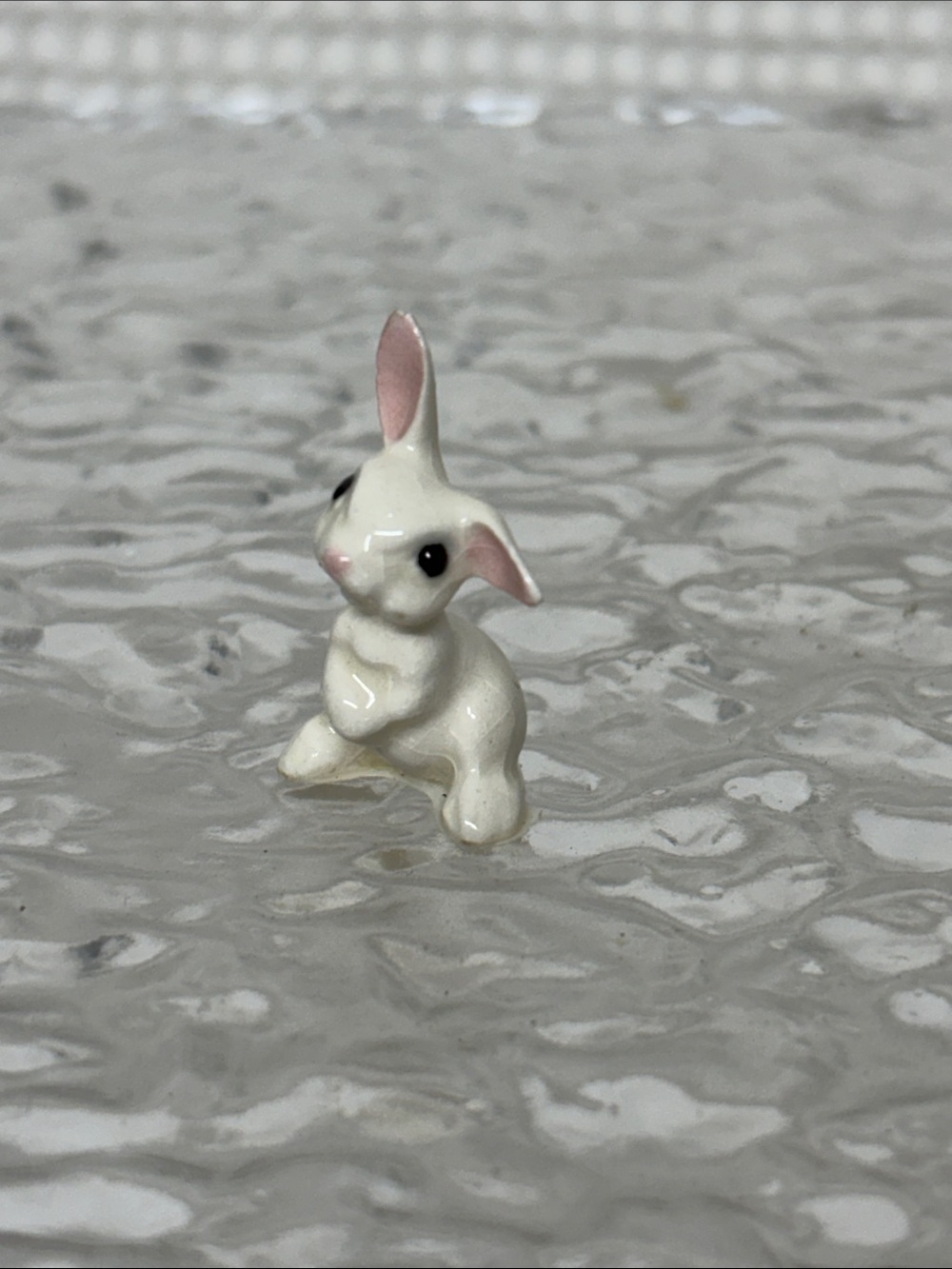 Miniature bunnies - Picture 2 of 10